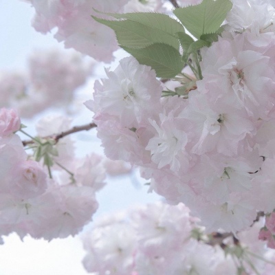 兽设洞穴场景绘制Furry群